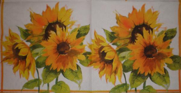 022 Sunflowers (22)